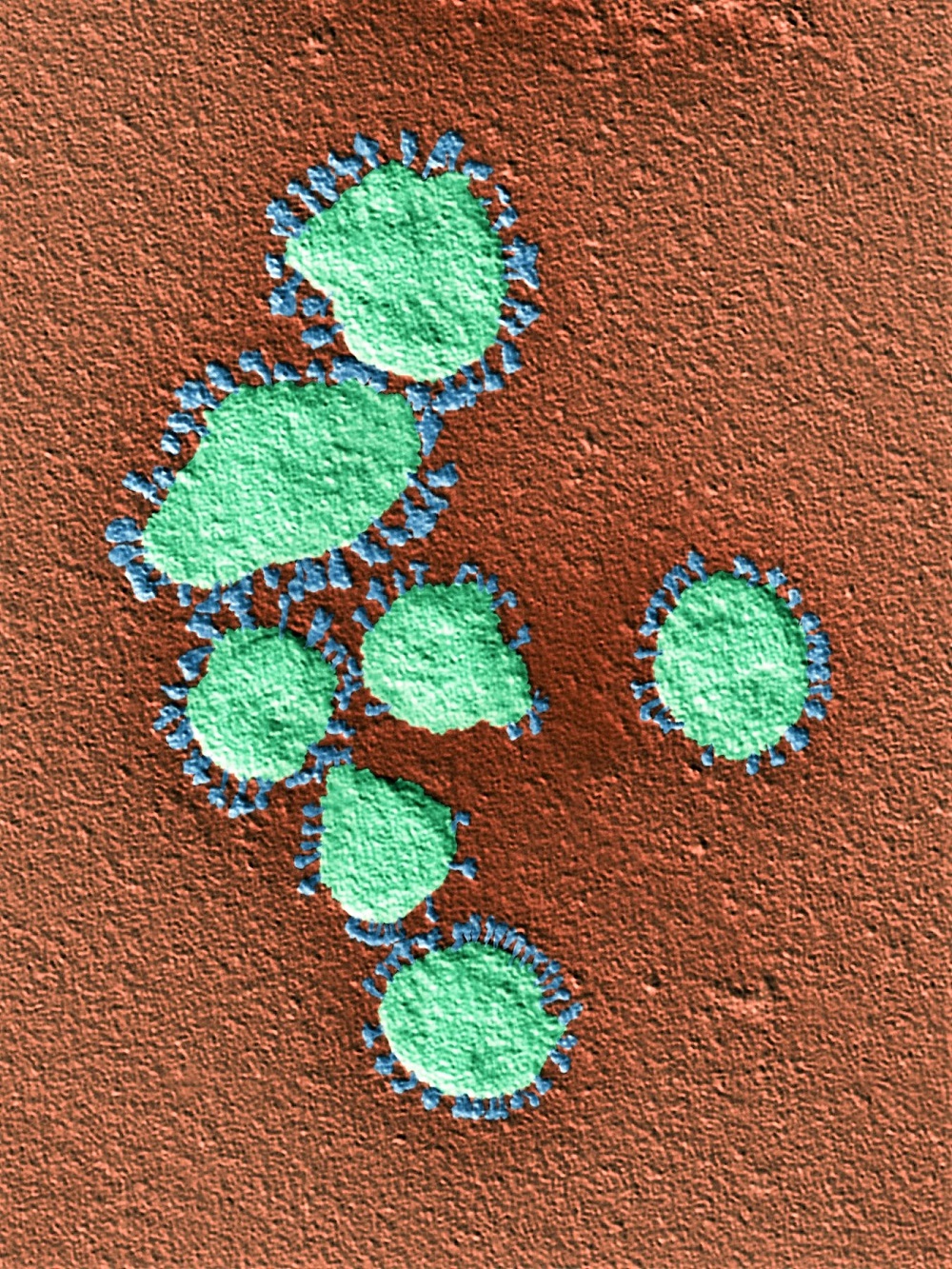 KORONAVIRUS6.jpg