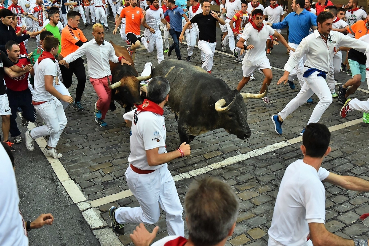 PAMPLONA1.jpg
